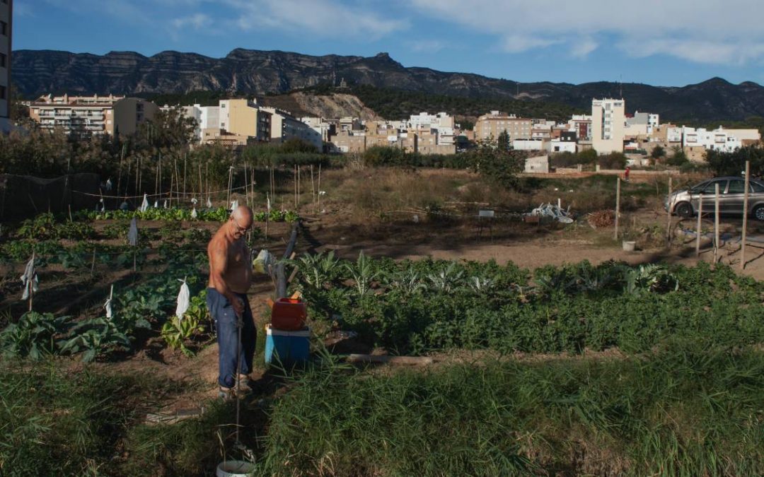 La Ràpita disposarà d’un Banc de Terres per promoure la recuperació de finques abandonades