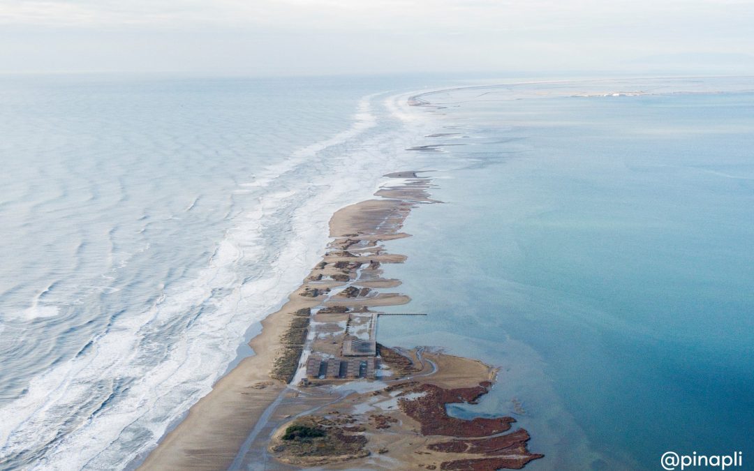 L’Ajuntament de la Ràpita demana a la ciutadania que presenti al·legacions al Plan para la Protección del Delta de l’Ebre elaborat pel Ministeri