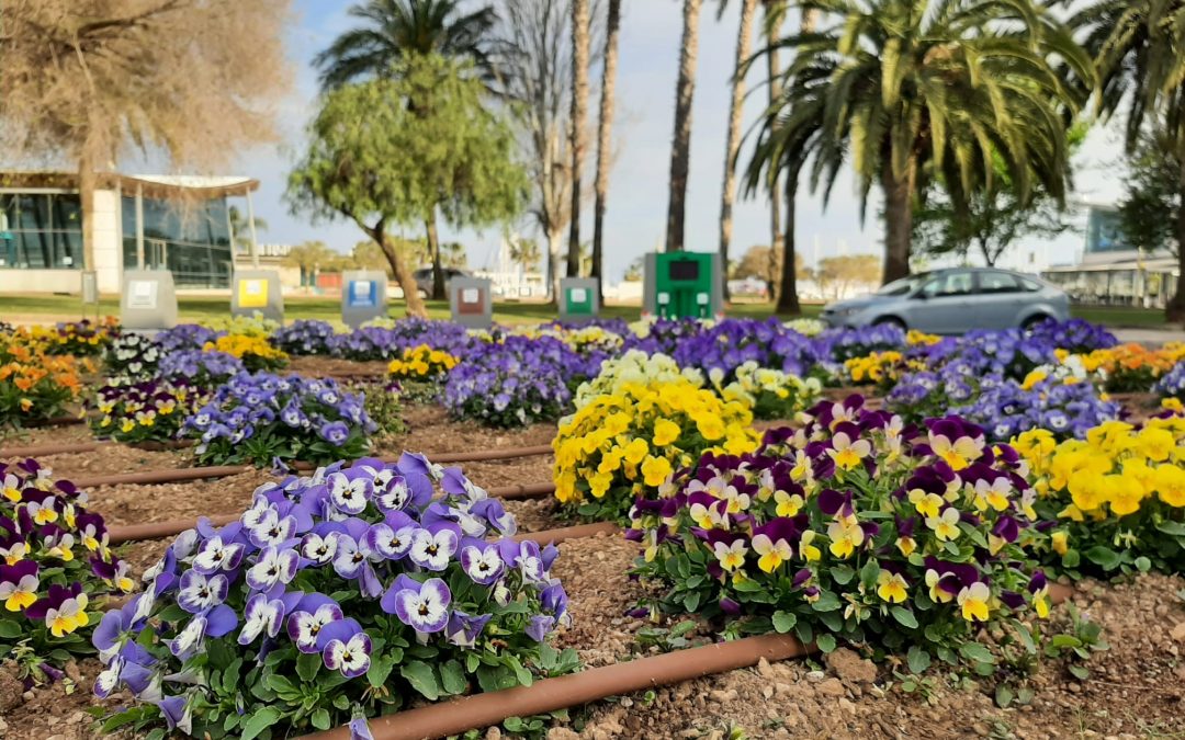 L’Ajuntament de la Ràpita valora positivament la implantació de plantes abonades amb compost procedent de la fracció orgànica