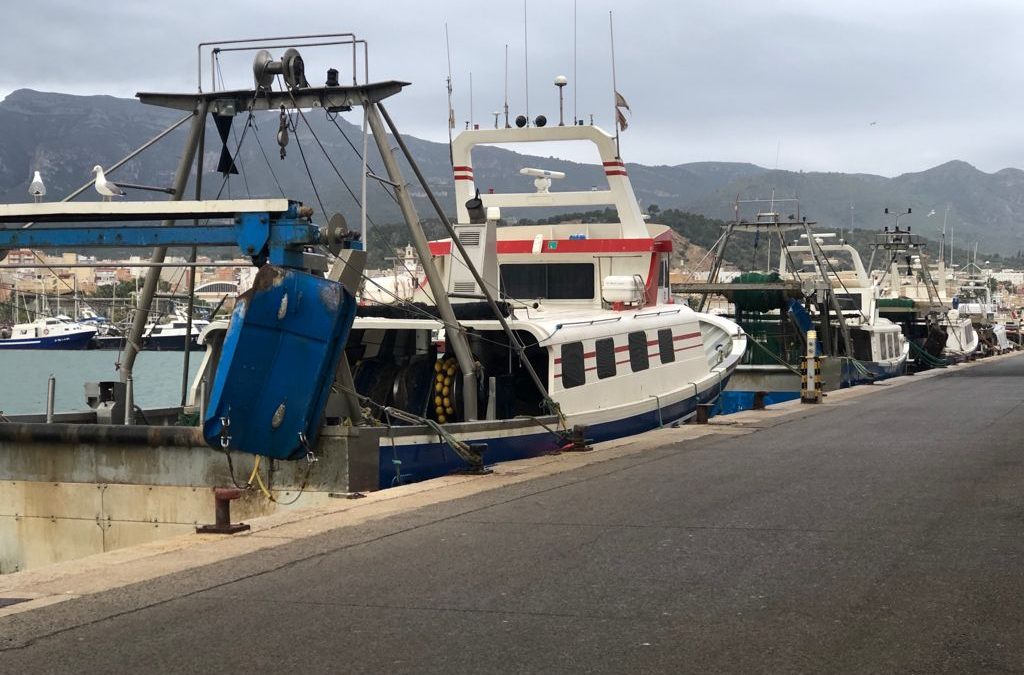 La Ràpita acull la Reunió del Fòrum Científic de la pesca espanyola a la Mediterrània