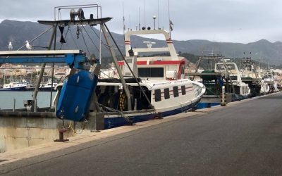 La Ràpita acull la Reunió del Fòrum Científic de la pesca espanyola a la Mediterrània