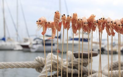 La Ràpita engega, la setmana vinent, les XX Jornades Gastronòmiques del Llagostí