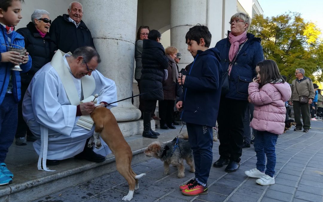 La Ràpita celebrarà aquest cap de setmana la festivitat de Sant Antoni