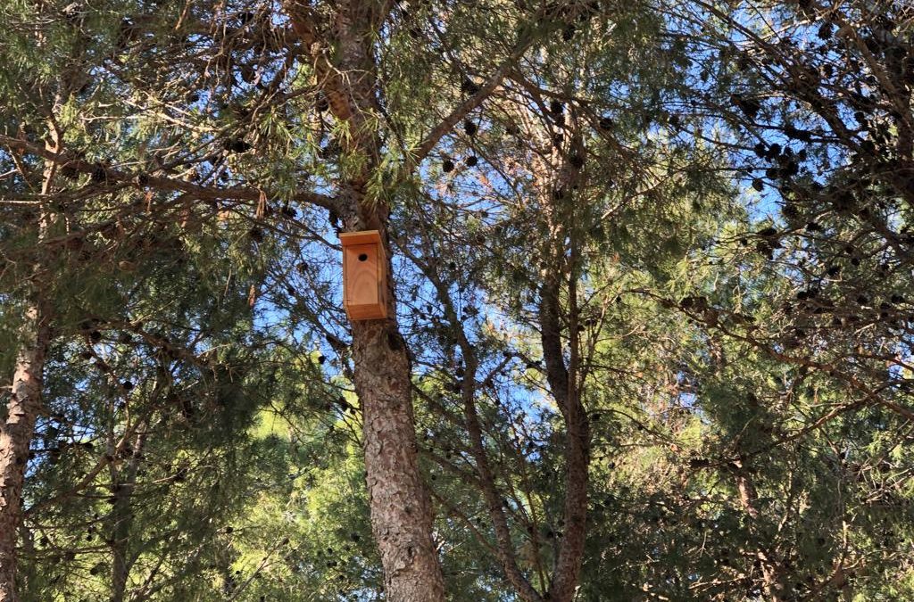 L’Ajuntament de la Ràpita instal·la caixes niu i caixes refugi a diferents punts del municipi