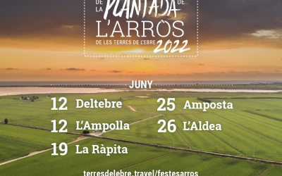 La Ràpita celebra la festa de la plantada de l’arròs el 19 de juny