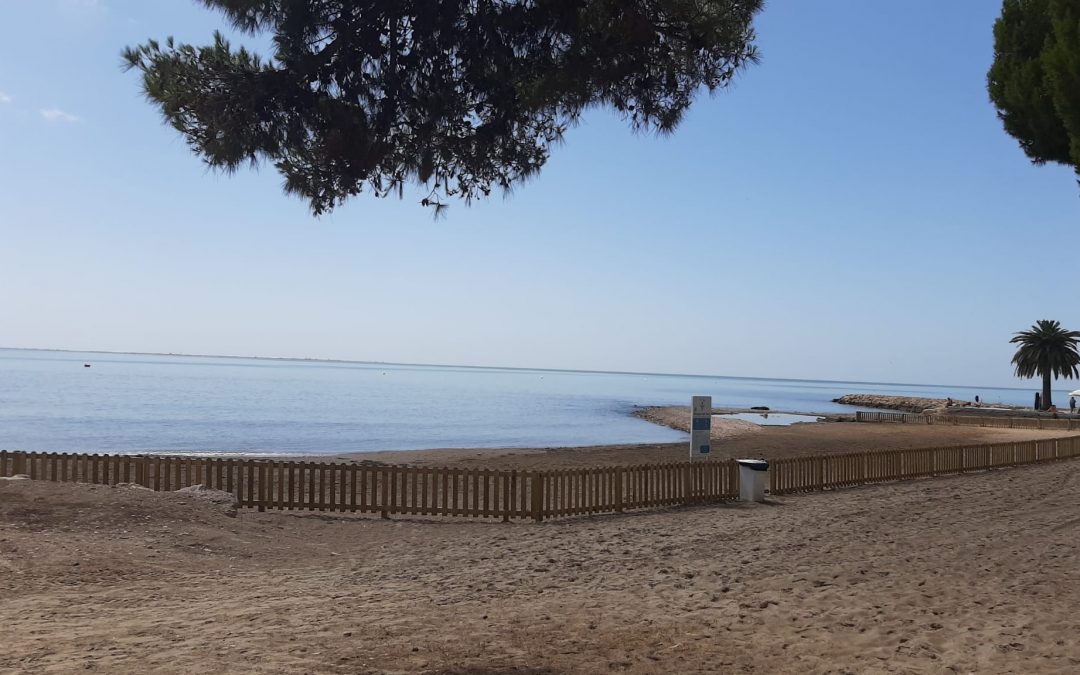 La Ràpita habilita una platja de gossos aquest estiu