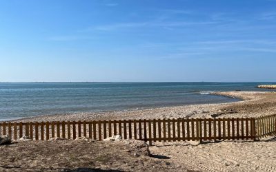 Habilitada la platja de gossos a la Ràpita durant la temporada d’estiu