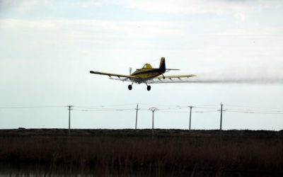 Subvenció de la Diputació de Tarragona a l’Ajuntament de la Ràpita