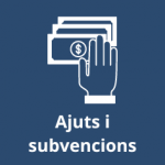 Ajuts i subvencions