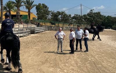 LA RÀPITA DONA SUPORT AL CAMPIONAT NACIONAL DE CAVALLS DE PURA RAÇA FRISÓ, QUE TORNA A CELEBRAR-SE A LES TERRES DE L’EBRE