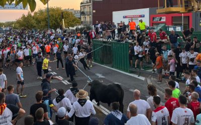 La Ràpita tanca amb èxit la vintena edició del Congrés de Bou amb Corda i passa el relleu a Amposta