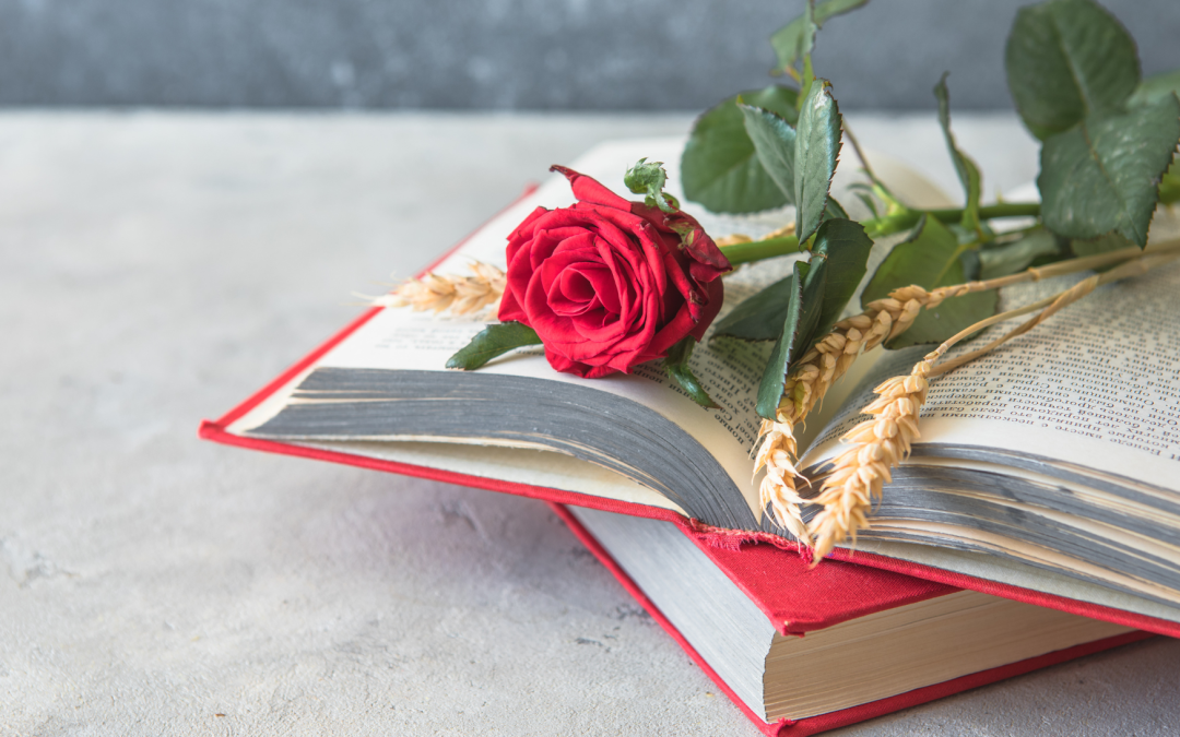 Els concursos rapitencs de Sant Jordi arriben amb propostes per a totes les edats